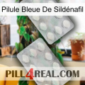 Pilule Bleue De Sildénafil 17